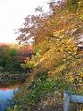 2008-10-11_Tiverton_Trustom 102